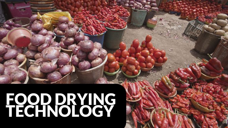 Using Drying Technology to Reduce Post-harvest Losses